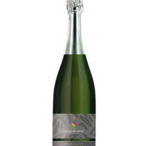 Les fines bulles du domaine Angelliaume - Vins - crémant de Chinon